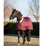 Couverture de Présentation Luxe Matelassée avec Col Teddy